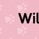 Illustration for article titled iNeko Atsume/i Cats, Ranked